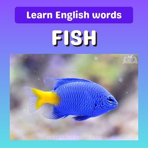 List of Fish