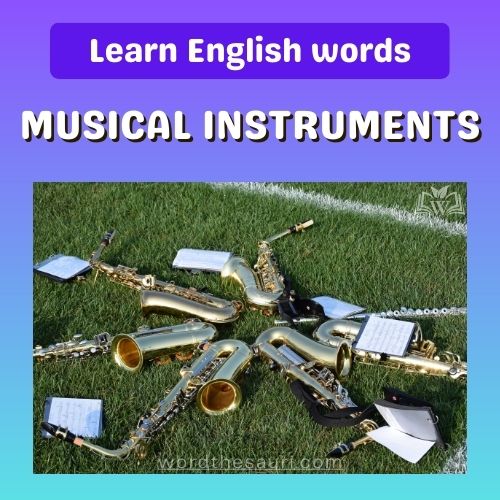 musical-instruments-name-in-english.jpg