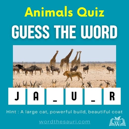 Animals