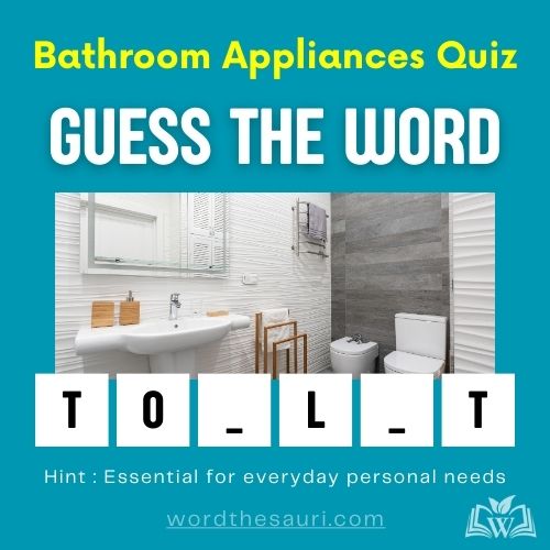 guess-the-word-Bathroom Appliances-quiz