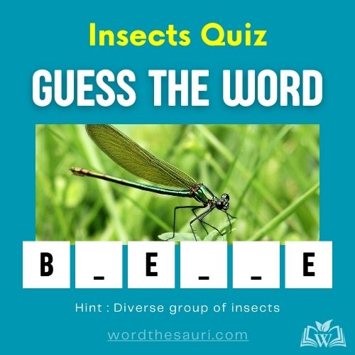 Insects