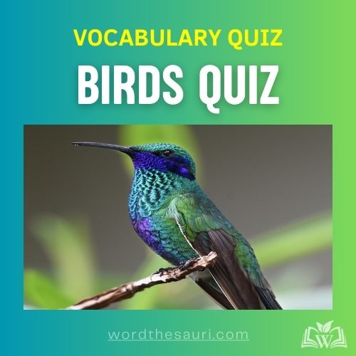 Birds Quiz