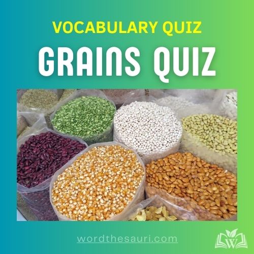 Grains