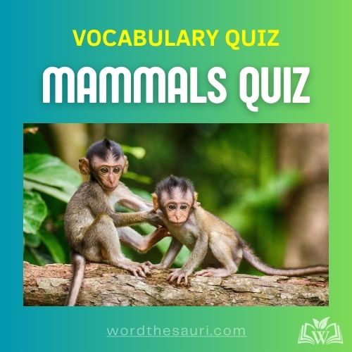 Mammals Quiz